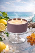 SUITE 678 Candle 8oz